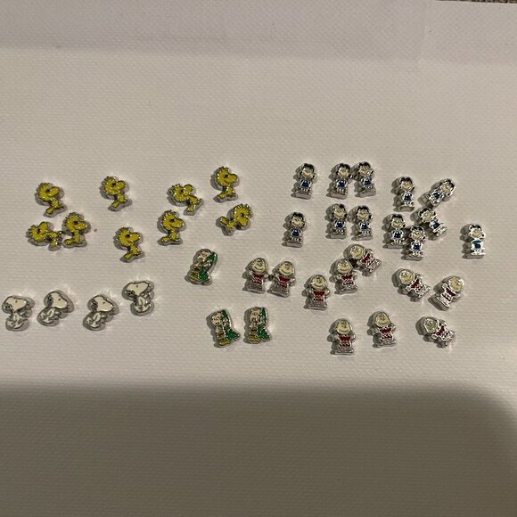 Memory locket floating charms Charlie Brown - Picture 1 of 1